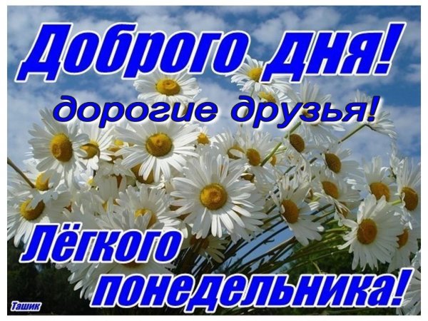 Добрый день понедельник