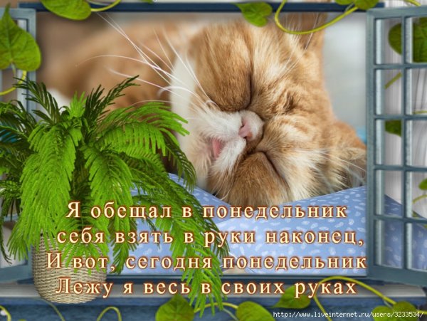 Стих про понедельник