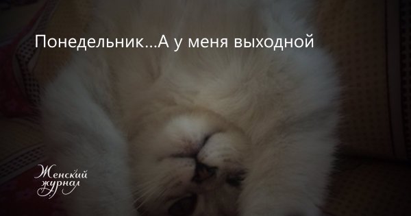 Цитаты про понедельник