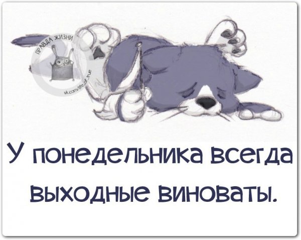 Понедельник выходной