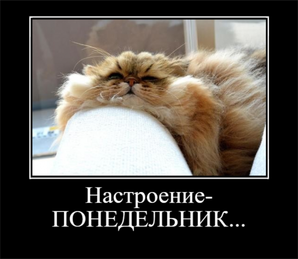 Смешное про понедельник