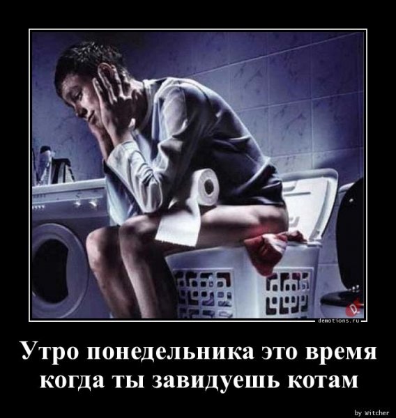 Утро понедельника приколы