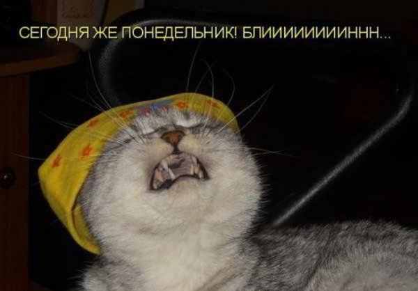 Сегодня опять понедельник