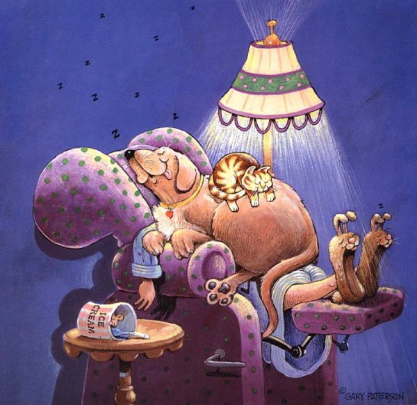 Забавные коты - художник Gary Patterson