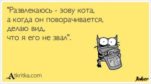 Чо чо упячка