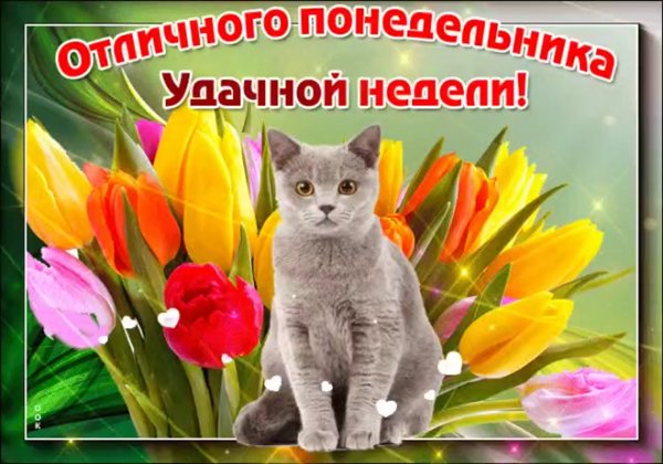 Понедельник весеннего настроения