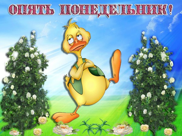 Шо опять понедельник