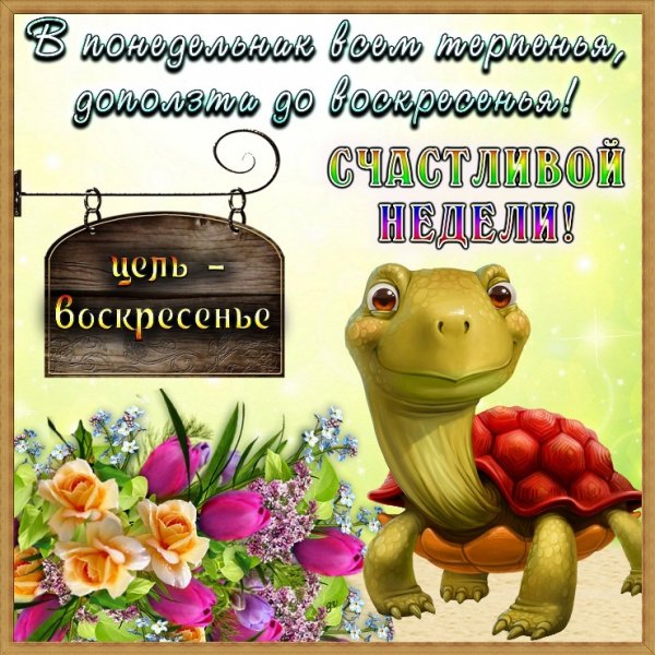 Веселые пожелания на понедельник