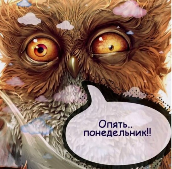 Опять понедельник