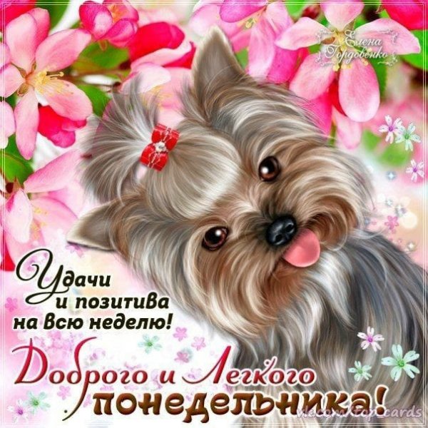 Лёгкой недели и отличного настроения