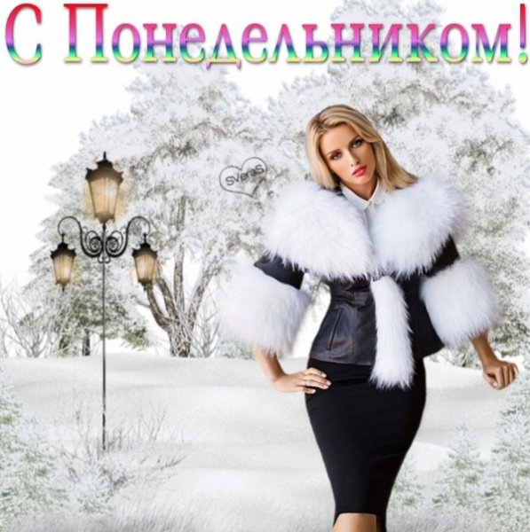 Спонидельником друзья