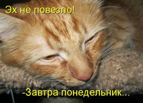 Презентация окончена спасибо за внимание