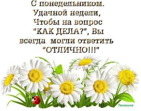 Красивые пожелания с добрым утром понедельник