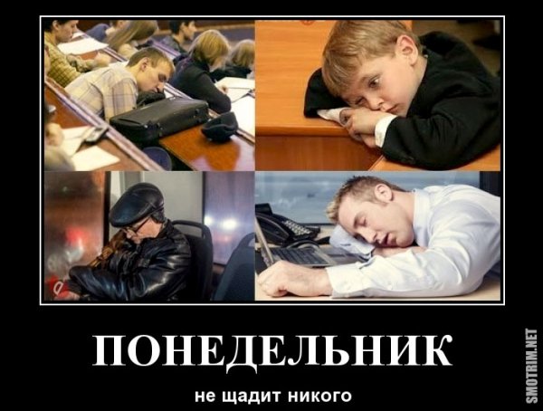 Понедельник демотиваторы картинки