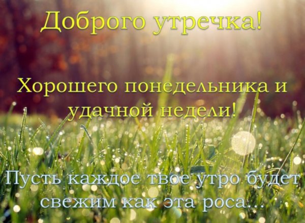 Доброе утро понедельника и удачной