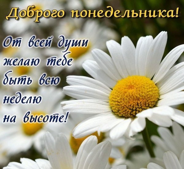 Легкого понедельника