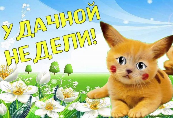 Пожелания легкого понедельника