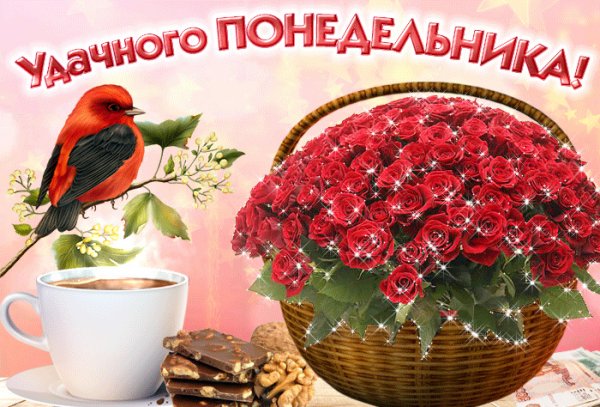 С началом недели с добрым утром понедельника