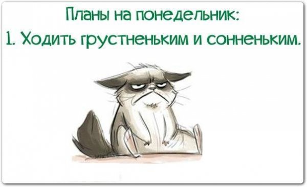 Планы на понедельник