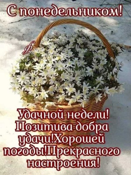 Прекрасного понедельника и удачной недели