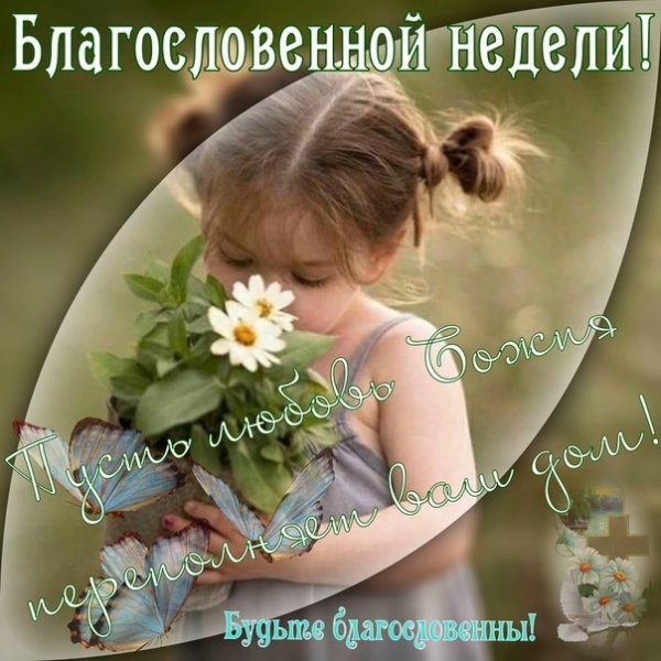 Благословенной новой недели картинки