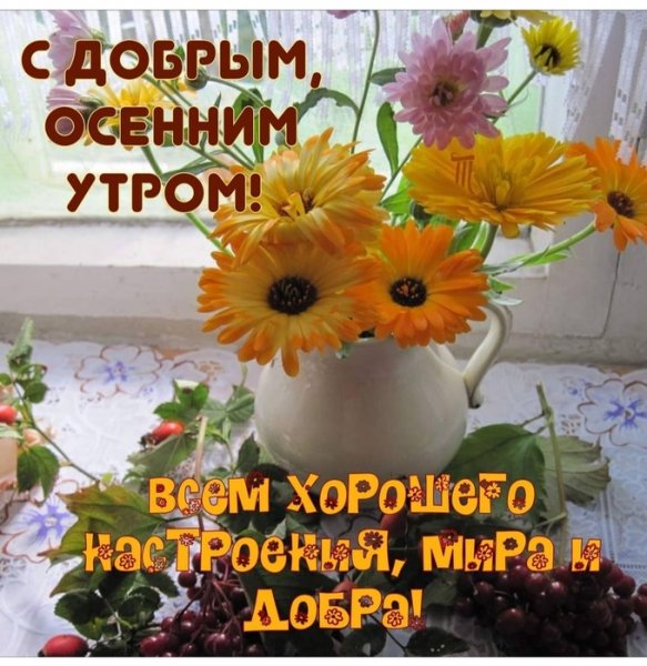 Доброе утречко и хорошего денечка