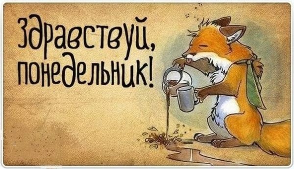 Ну шо опять волк