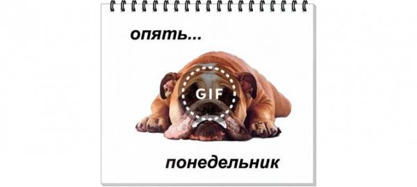 Шо опять гифка