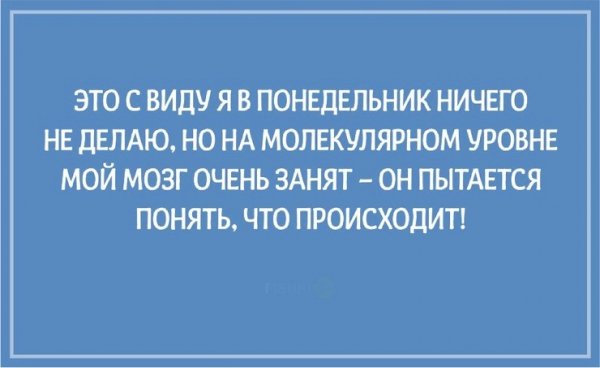 Понедельник юмор
