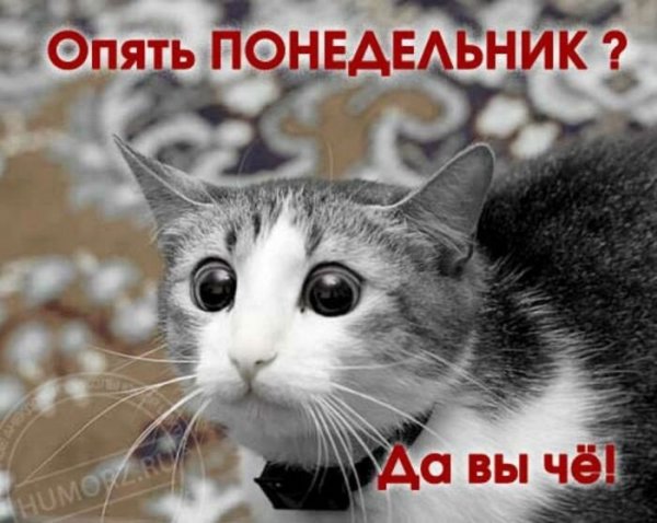 Опять понедельник