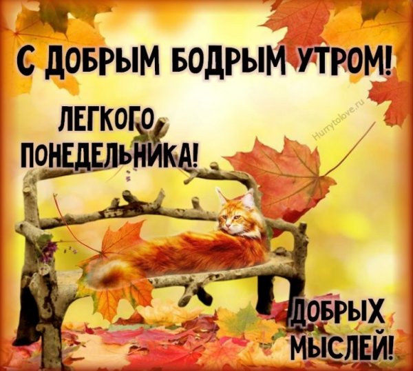 С добрым осенним утром понедельника
