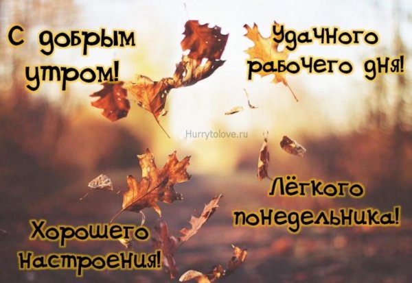 Осеннее утро понедельника