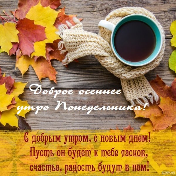 Доброе осеннее утро понедельника