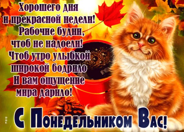 Отличного начала недели осенние