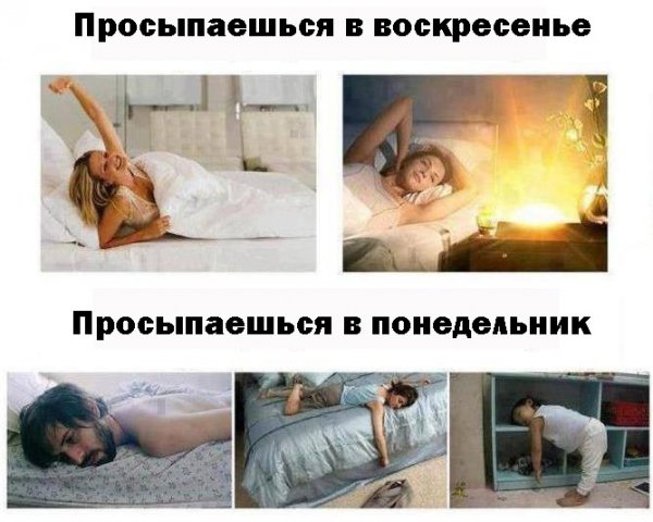 Понедельник просыпаемся