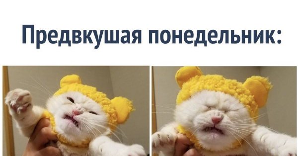 Мемы про понедельник