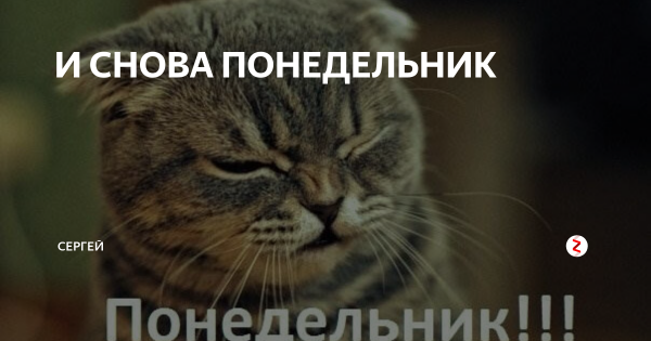 Вот и снова понедельник
