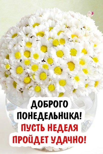 Открытки с добрым понедельником