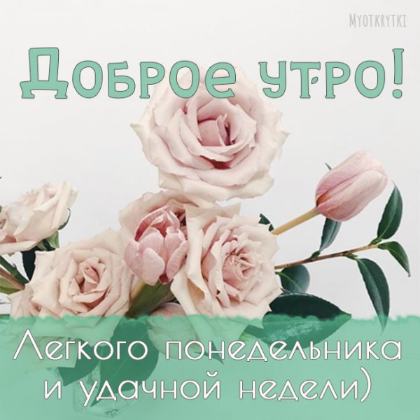 Пожелания с добрым утром понедельника