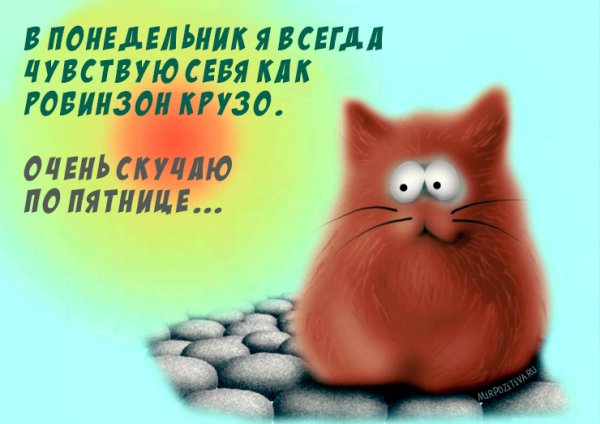 Открытки прикольные для поднятия настроения