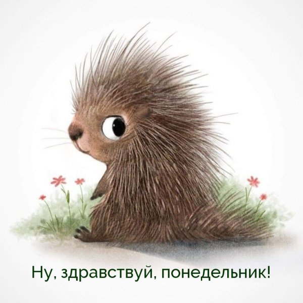 Опять понедельник смешные