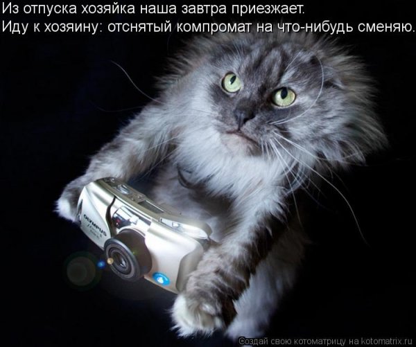 На работу после отпуска