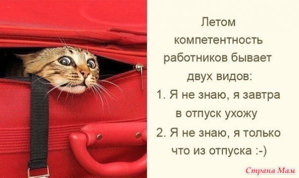 С выходом из отпуска