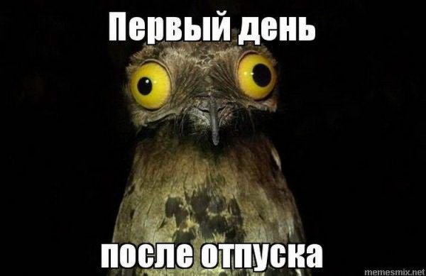 Первый день после отпуска