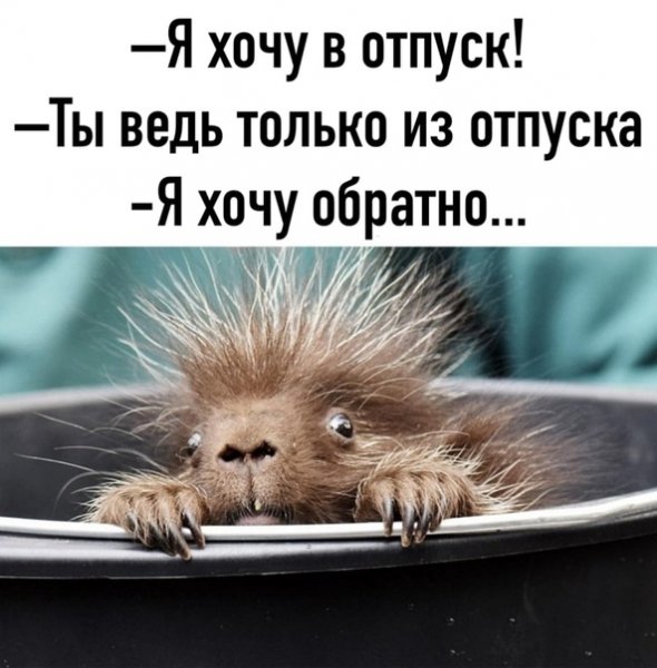 Понедельник после отпуска