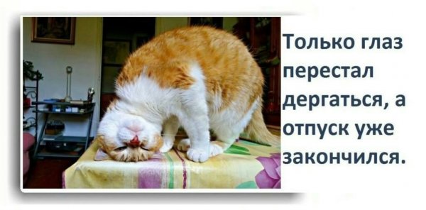 На работу после отпуска