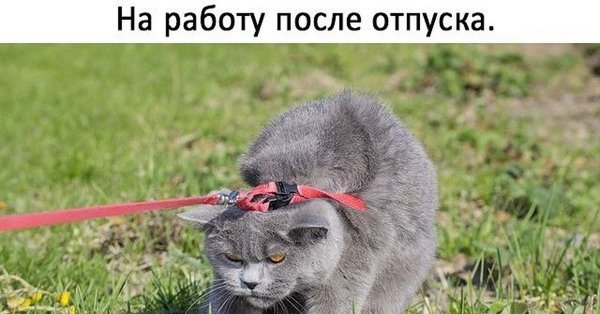 С выходом на работу после отпуска