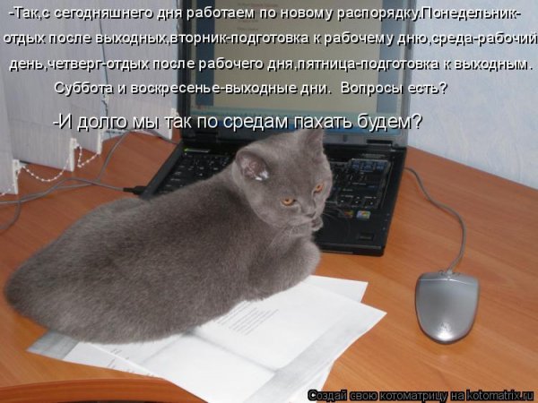 Пожелание хорошего первого рабочего дня