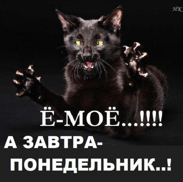 Спокойной ночи завтра понедельник