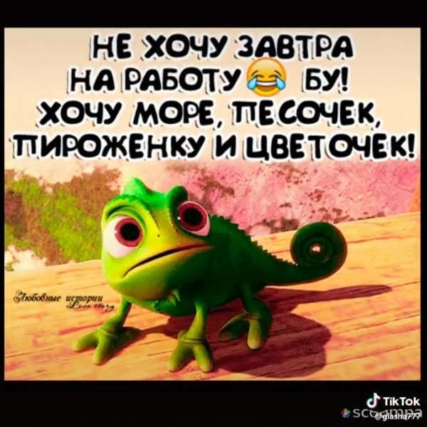 Статусы про понедельник прикольные